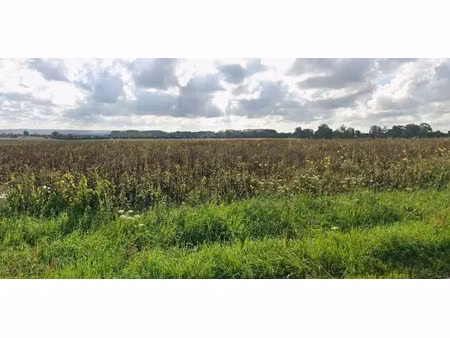 vente terrain 1202 m² à gonneville-en-auge (14810)  174 000 €