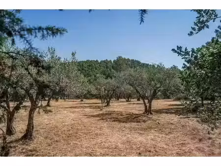 vente terrain 1615 m² à flayosc (83780)  218 000 €