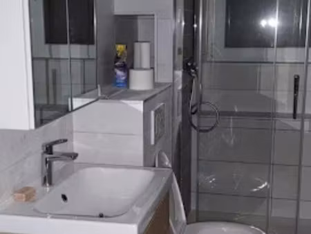 location appartement 4 pièces 82 m² à mulhouse (68100)  790 €
