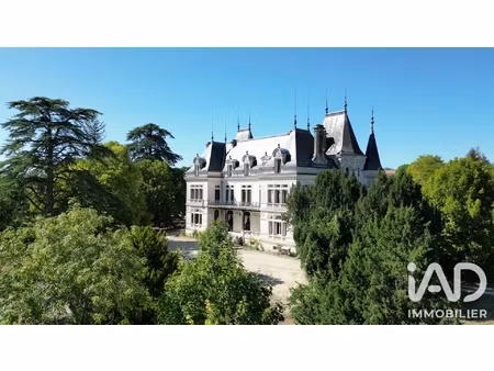 vente château 14 pièces