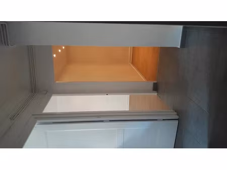 location appartement 2 pièces 56 m² à lyon 4ème (69004)  1 020 €