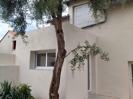 appartement t1 zola