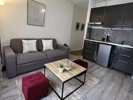 location meublée appartement 1 pièce 60 m² à saint-etienne (42000)  590 €
