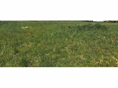 magnifique terrain de 1 200 m2 dalhunden