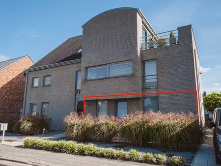 appartement à louer à overpelt € 920 (lqjnn) | zimmo