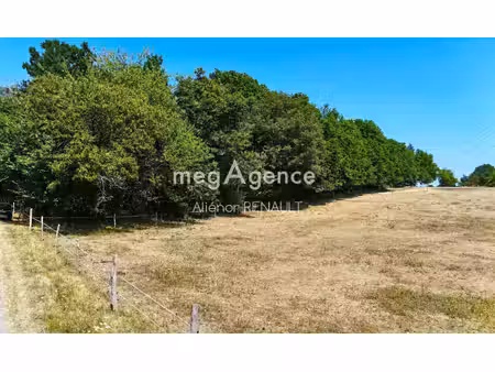 terrain à bâtir proche lalinde - 6760 m²