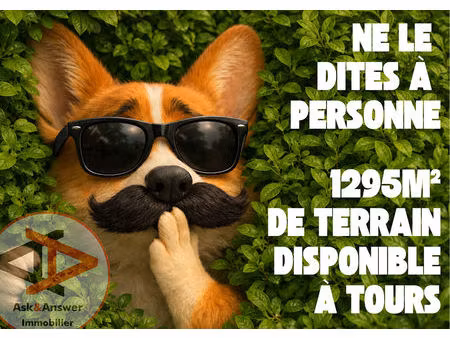 terrain tours 1295 m2