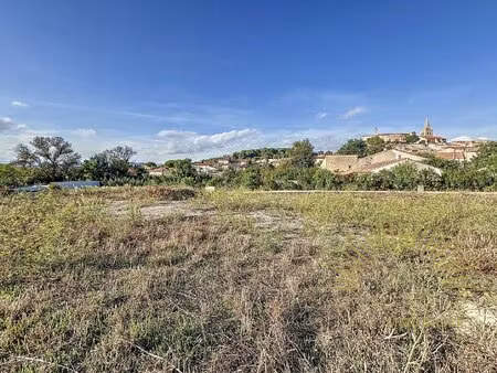 terrain