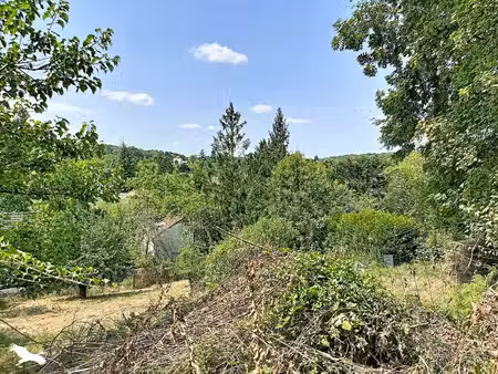 terrain