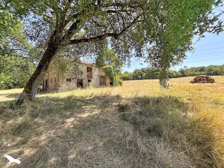 vente immeuble 0 pièces à lignan-de-bordeaux (33360)  250 000 €