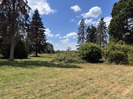 achat terrain 1 885m² la ferte st aubin 45240
