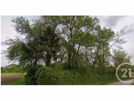vente terrain 1400 m² à saint-laurent-nouan (41220)  33 000 €
