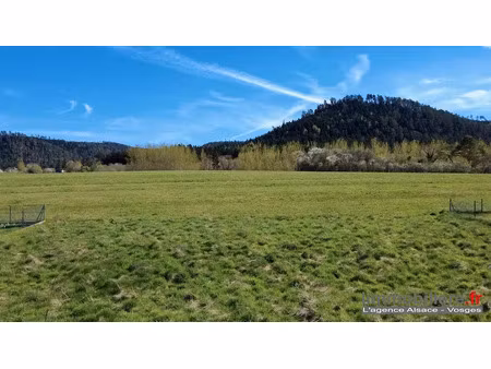 vente terrain à batir 892 m² à la bourgonce (88470)  45 000 €
