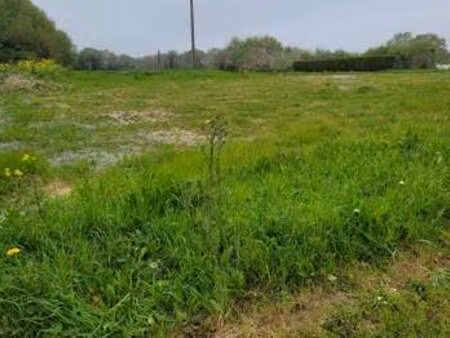 vente terrain à cancale (35260) : à vendre / cancale