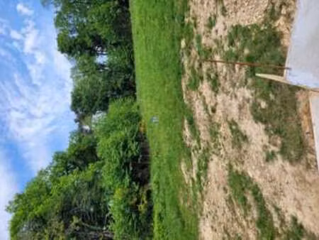vente terrain à saint-senoux (35580) : à vendre / saint-senoux