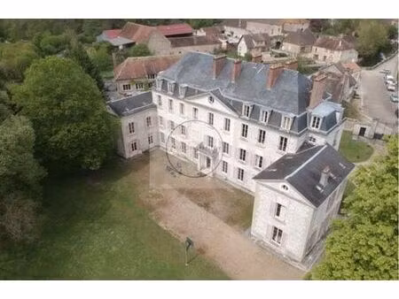 prestigieux château de 2000 m2 en vente - l'isle-sur-serein  france