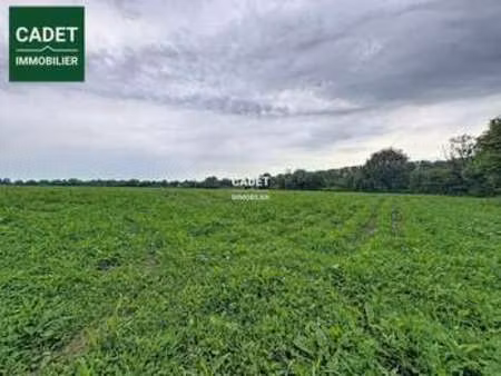 vente terrain à la haye-pesnel (50320) : à vendre / 36210m² la haye-pesnel
