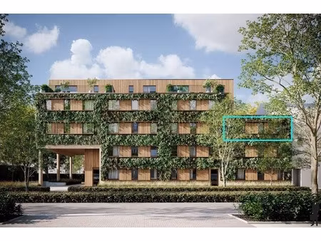 appartement te koop in brasschaat met 3 slaapkamers