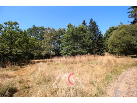 achat terrain 1 626m² st gildas des bois 44530