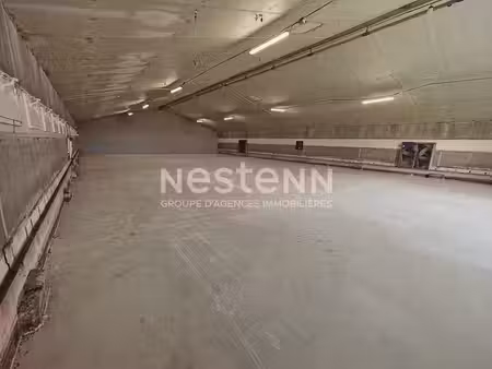 vente locaux professionnels 0 pièces 2000 m² à fosse (41330)  356 400 €