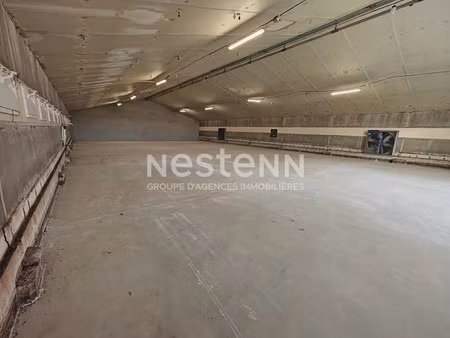 vente locaux professionnels 0 pièces 2000 m² à fosse (41330)  424 000 €