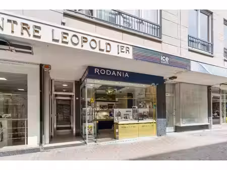 commercieel te koop in de panne