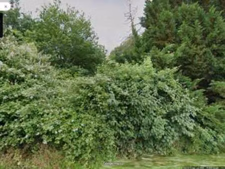 vente maison à sainte-radegonde (33350) : à vendre / 115m² sainte-radegonde