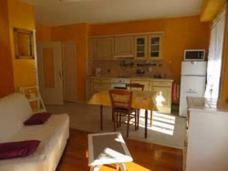 location appartement t1 meublé à villeurbanne (69100) : à louer t1 meublé / 33m² villeurba