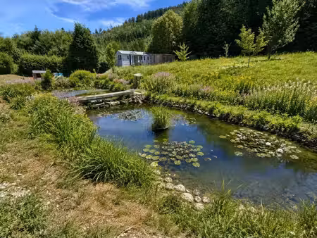 maison t5 à vendre 5 pièces banlieue epinal (88) avec piscine  garage  mare sur 2600 m2 te