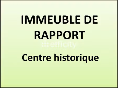 immeuble 18 pièces - 600 m²