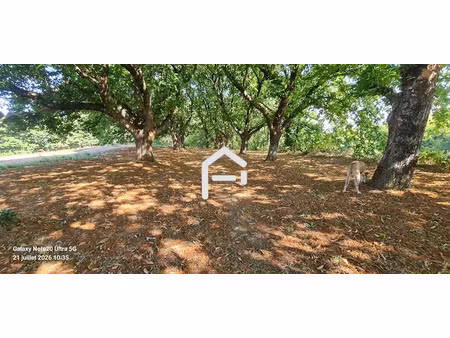 vente terrain 100271 m² à perpezac-le-noir (19410)  69 800 €