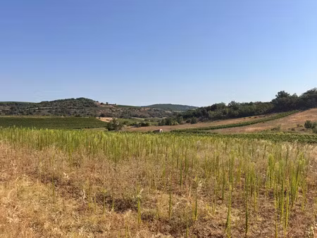 vente terrain à pauligne (11300)  73 500 €