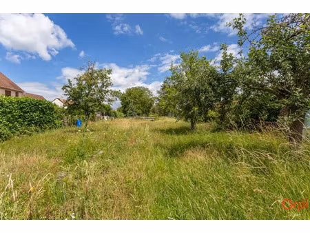 vente terrain à batir 1120 m² à longjumeau (91160)  250 000 €