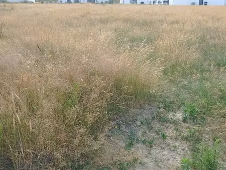 vente terrain 775 m² à frossay (44320)  102 000 €
