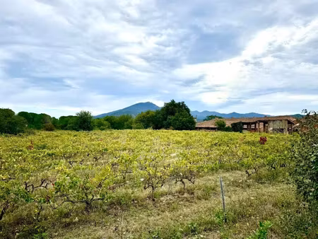 vente terrain 431 m² à saint-jean-pla-de-corts (66490)  109 900 €