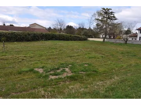 vente terrain à batir 1087 m² à montmerle-sur-saone (01090)  160 000 €