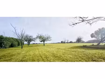 vente terrain 953 m² à buxerolles (86180)  165 997 €