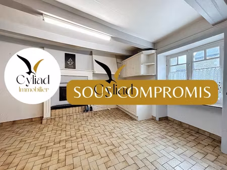 vente maison 5 pièces 66.6 m² à miniac-morvan (35540)  nan €