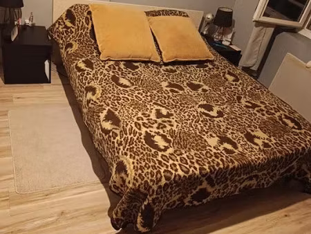 location meublée chambre 1 pièce 10 m² à saint-maurice-de-lignon (43200)  150 €