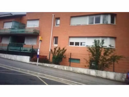 location appartement 1 pièce 27 m² à toulouse (31000)  480 €
