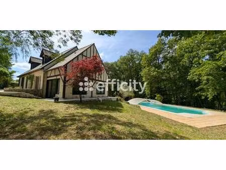 villa avec piscine et terrasse rochecorbon (37)