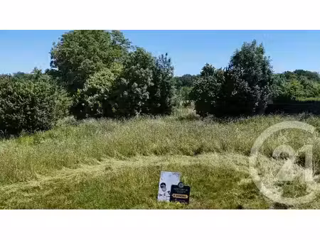 terrain à vendre - 973 m2 - montferrand le chateau - 25 - franche-comte