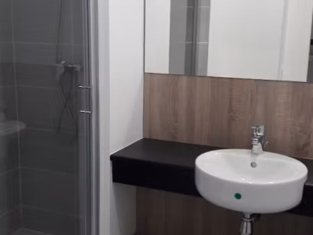 location appartement 1 pièce 20m² lyon 7ème