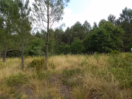 vente terrain 1800 m² à estigarde (40240)  28 000 €