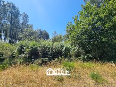 achat terrain 13 065m² biganos 33380
