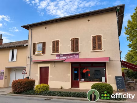 vente locaux professionnels 93 m² à chaneins (01990)  66 000 €