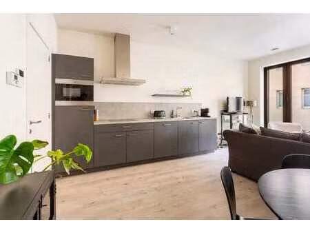 appartement chaleureux d'une chambre près du meir