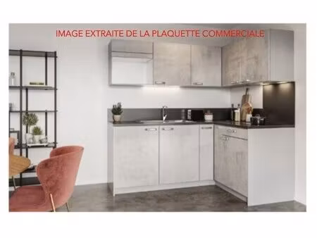 achat : maison (59290)