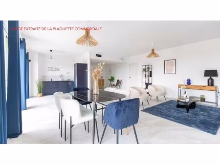 achat : appartement (45160)