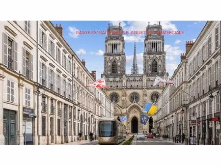 achat : appartement (45100)